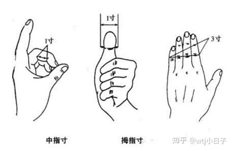 一寸 指|人体同身寸，如何确定穴位1寸、2寸、3寸、4寸，附。